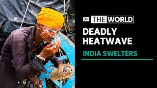 India battles through a deadly heatwave  The World