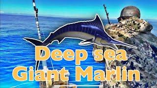 Caught a 250lb Marlin  Hawaii Deep Sea Fishing