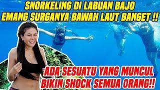 THE REAL SURGA BAWAH LAUT LABUAN BAJO  NIKMATNYA SNORKELING SAMPE NEMU HAL YANG TAK TERDUGA 