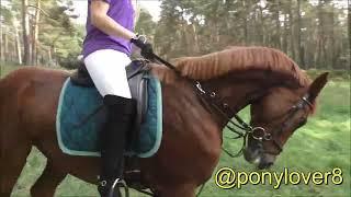 Princess on horse with Spurs