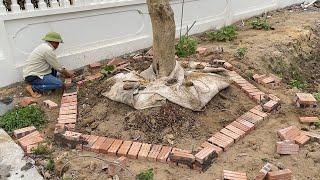 Amazing Techniques For Building Flower Beds With Bricks & Rendering With Sand And Cement