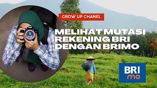 Cara Tutorial Bagaimana melihat Transaksi Mutasi Rekening di BRiMo