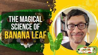 The Magical Science of Banana Leaf