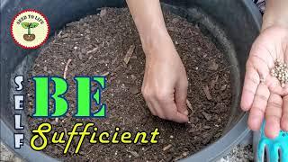 Gardening Tips and Tricks  Know Your Food  Organic Gardening