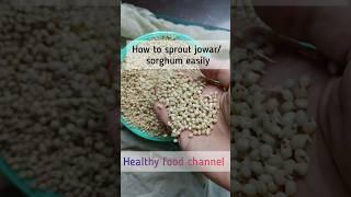 how to sprout jowar sorghum  make sprouted jowar atta #shortsfeed