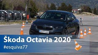 Škoda Octavia 2020 - Maniobra de esquiva y eslalon  Km77.com