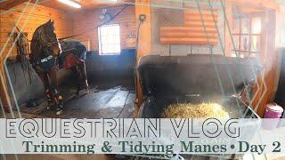 Trimming & Tidying Manes • Day 2  EQUESTRIAN VLOG