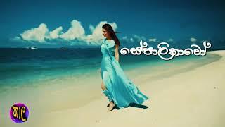 සේපාලිකාවෝ Sepalikawo Official Music video - Shehan Kaushalya - Thala Remixed Production