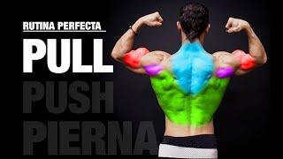 La Rutina Perfecta PULL  JALAR PUSH  PULL  PIERNAS