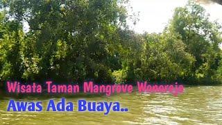 Perjalanan Air Menuju Wisata Taman Mangrove Wonorejo  Rungkut - Surabaya