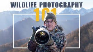 TOP TIPS to get into WILDLIFE PHOTOGRAPHY.  Learn from a professional