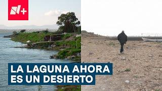 La laguna de Zumpango ahora es un desierto - N+