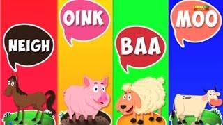 Canção de som animal  Vídeo educacional  Learning Video For Kids  Kids Song  Animal Sound Song