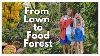 We Turned Our Yard Into A Food Forest During Quarantine  Epic Garden Tour