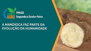 A Força do Agro - Projeto constituinte de 1823 ficou conhecido como Constituição da Mandioca