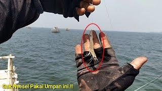  % TERBUKTI UMPAN INI GACOR. MANCING BAGAN TERBARU BAGAN PERTAMINA