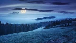 Beethoven - Moonlight Sonata 10 Hours