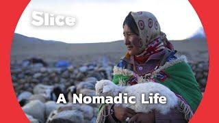 Nomadic Life in the Himalayan Highlands  SLICE