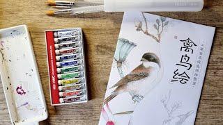 Birds Rice Paper Watercoloring Sheets