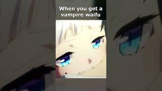 When You Get a Vampire Waifu