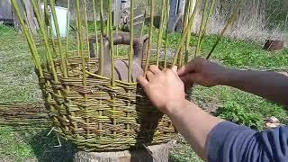 Плетение ивовой хозяйственной корзины  Weaving Willow Utility Basket