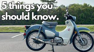 2024 Super Cub - What you should know before you buy NEW