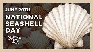 National Seashell Day  June 20th - National Day Calendar