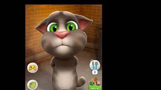 Tom The Chatty Cat Fun Conversations #trending #talkingtom #funny #tomnose #tom #funnyvideo