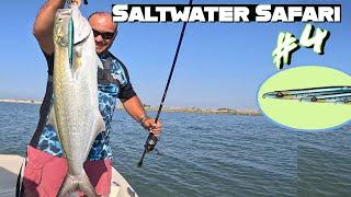 Saltwater Safari #4 These BLUEFISH were HUGE Guest Star GARFISH on Steroids 100% Topwater action