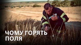  ЗНИЩУЮТЬ НАШ ХЛІБ масштабні пожежі в Одеській області через людську недбалість