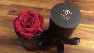 VLove Forever Preserved Roses in a Box Amazon Vine review