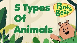 Animal classification for Kids   Mammals Birds Reptiles Amphibians & Fish  Animal Groups