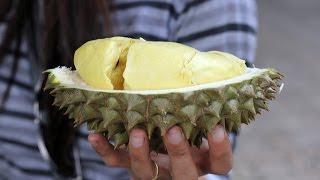 Jenis-jenis Durian Paling Enak dari Indonesia