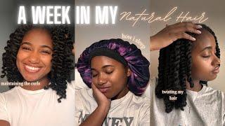 A Week In My Natural Hair Twists Edition  Styling Scalp care Maintaining my twists