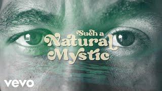 Bob Marley & The Wailers - Natural Mystic Lyric Video