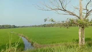 kuttanad beauty 