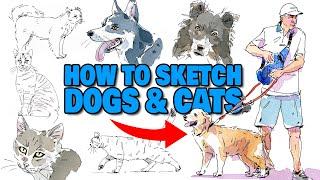 How to Sketch DOGS & CATS With Loose Ink Lines