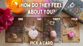 Pick A Card🩵How Do They Truly Feel About You? crushexloverelationship