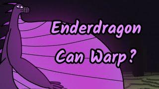 Enderdragon Can Warp?