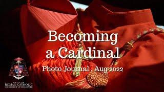 Becoming a Cardinal Photo Journal