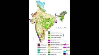 forest in India #mapsofindia #upsc #gk #bpsc #gangariver #indiangeography #map