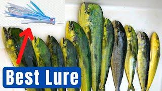 How to Catch Mahi Mahi Best Lures Baits and Trolling Techniques