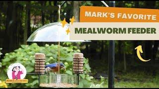 Marks Favorite Mealworm Feeder