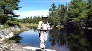 Black Flies in the Backwoods of Ontario