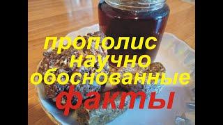 Прополис. Факты по науке.