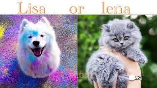 LISA OR LENA#Cute dog&cat