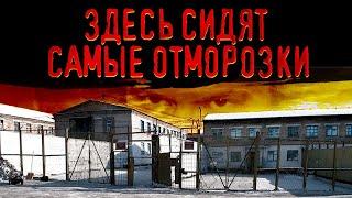Самая страшная тюрьма России  Правда о «Полярной Сове»