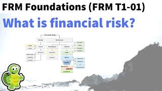 What is financial risk? FRM Foundations T1-01