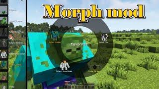 Minecraft 1.16.5 - Morph mod