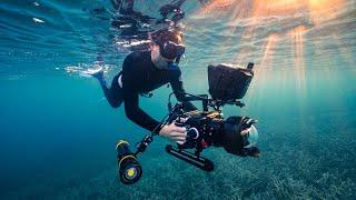 Why I bought a $50000 RED Camera for Underwater Cinematography